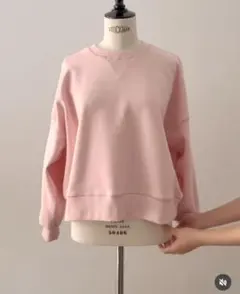 ロージーモンスター