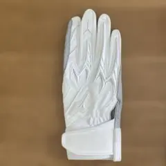 a*c様 【限定】ミズノプロ パワーアーク 1EJEA548 両手用25cm - メルカリ