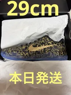Nike Kobe 11 Protro "Mamba Day" (2026)