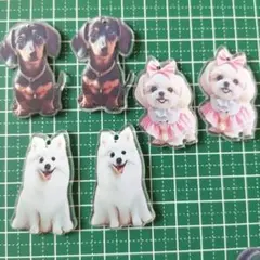 m1 犬のアクリルチャーム【6個】