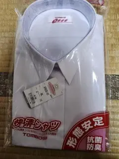 Item thumbnail for item a018f888-bfb8-406e-8557-b0a0aab18b12