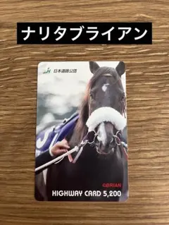 ナリタブライアン 有馬記念 勝馬投票券 - メルカリ