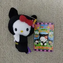 ハローキティ ご当地ぬいぐるみ 沖縄限定 未開封 タグ付き 2個セット