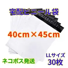 Item thumbnail for item d05d8b03-538b-48bb-9171-65de6133499c