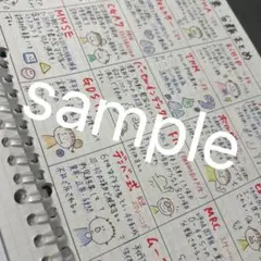 看護学生　付箋ノート　看護師国家試験対策 115.116.117.118回
