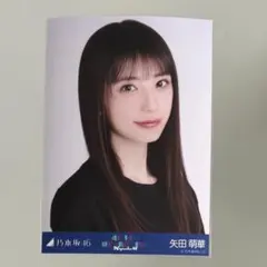 乃木坂46 矢田萌華 生写真 ヨリ ライブT 41stSG アンダーライブ