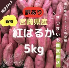 【農家直送】さつまいも　紅はるか　宮崎県産5kg B品訳あり　送料無料のサムネイル