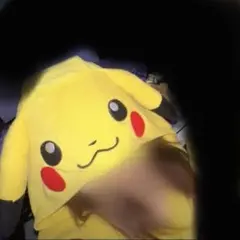 ピカチュウ半袖着ぐるみ