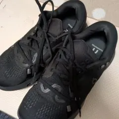 Item thumbnail for item 7c7d1b10-ce52-41a3-90f4-cfe09ae2aac0