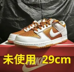 25cm ナイキ ダンク ロー ネクストネイチャー 