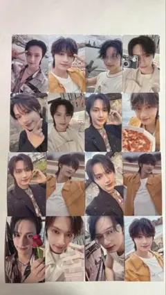 SEVENTEEN ジュン 会場限定 特典 16種セット