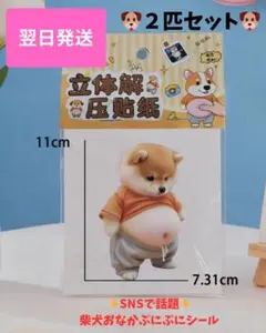 ぷにぷに感が可愛い 柴犬 おなかシール　シリコン製【2枚セット】翌日発送