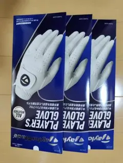 Item thumbnail for item bba8a596-e8ff-46ac-8401-0b16a1a6de56