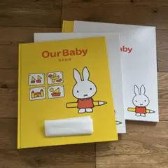 【双子2セット】ミッフィー育児記録