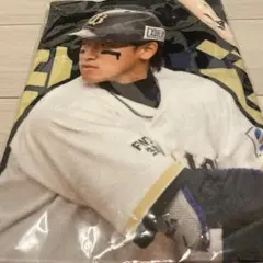 オリックスバファローズ 渡部 遼人コロチャレB賞 2枚セット - メルカリ