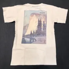 オールド パタゴニア【ヨセミテ】Beneficial サイズS 極美品