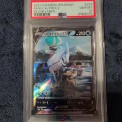 2026年最新】はくばバドレックスV psa10の人気アイテム - メルカリ