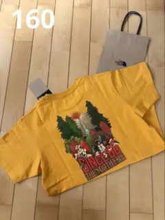 ザノースフェイス　Ｔシャツ　160