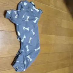 Item thumbnail for item 67076447-7a49-480b-b915-fd14649a3d06