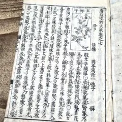 to778 古い和本『 和語本草 廣益本艸大成 』漢方 薬学 知恵 古書 古文書