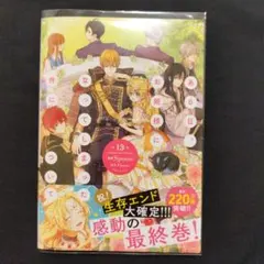 ある日、お姫様になってしまった件について 13