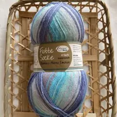 ⭐︎1446 Flotte Socke 海外ソックヤーン　中細