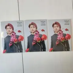 Mrs. GREEN APPLE 若井滉斗 フォトカ MGA 036 3枚