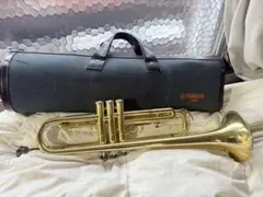 Item thumbnail for item 68939652-d8f9-45a1-87ba-710c391e6fe4