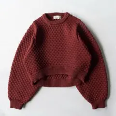 ぽこぽこ ニット編み地セーター クロップド丈 プルオーバー 赤色ニット 니트