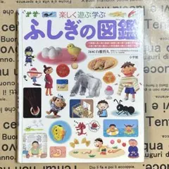 美品　楽しく遊ぶ学ぶ　ふしぎの図鑑　小学校の子ども図鑑　プレNEO