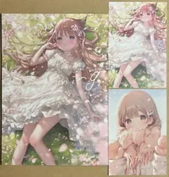 みやしろ Sugar Sucre Blooming ポストカード