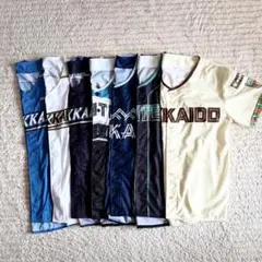 美品】北海道日本ハムファイターズ/上川畑大悟#4/レプリカビジター