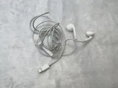 Item thumbnail for item a25060bd-599a-4f75-a26f-7305d3fd8f08