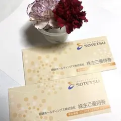 未使用⭐︎相鉄ホールディングス　株主ご優待券　　　　　　2冊セットのサムネイル