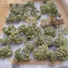 Item thumbnail for item 694e844b-4bea-4341-bbfd-ce0adb2bb2a6