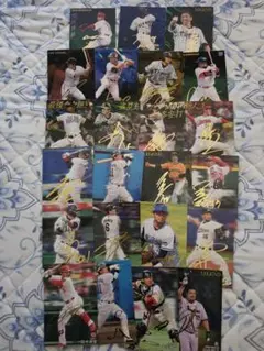 サイン入りプロ野球カード