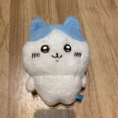 ハチワレ　ぬいぐるみ