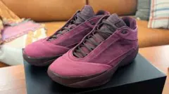 Air Jordan 40 PF ボルドー 27.5センチ 美品 - メルカリ
