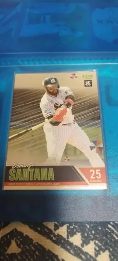 Item thumbnail for item 70b90eb1-6ab8-4e3b-b34e-68df9361f299