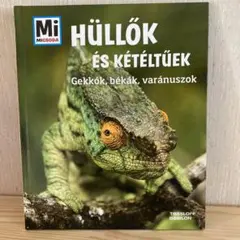 Item thumbnail for item 76de9a4b-de48-4f7d-bf5c-f3ae0feed610