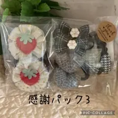 【感謝パック3】フォロワー様限定　(555円)