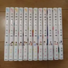 新品ケース交換済み ママレード・ボーイ DVD 全13巻＋劇場版 全巻