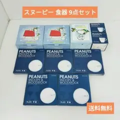 新品 スヌーピー 食器 9点セット 平皿 ボウル マグカップ PEANUTS