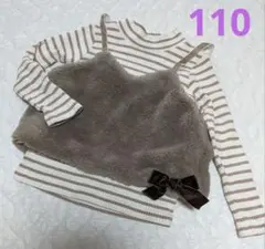 ファーベスト 110