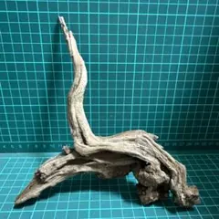 KIM様 リクエスト 2点 まとめ商品