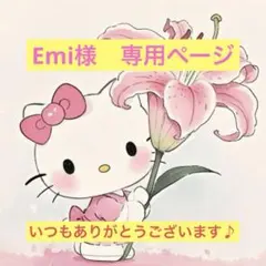 Emi様　専用ページ