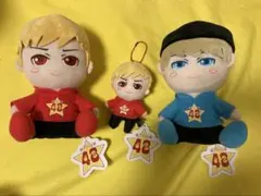 新品‼️✳️タグ付き‼️✳️TEAMフォーエイト こたつくん ぬいぐるみ　48わかゔぁのサムネイル