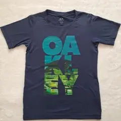 Item thumbnail for item 6c9c4fa2-3adb-46b3-aef9-3ddecbb65ac1