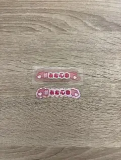 あむ心中 ステッカー 2枚セット 逃げ水あむ