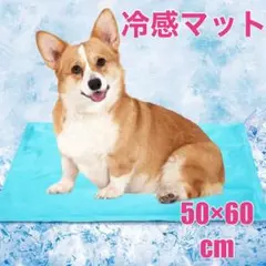 冷感マット クールマット ペット ひんやりマット 犬 猫 うさぎ 熱中症対策のサムネイル